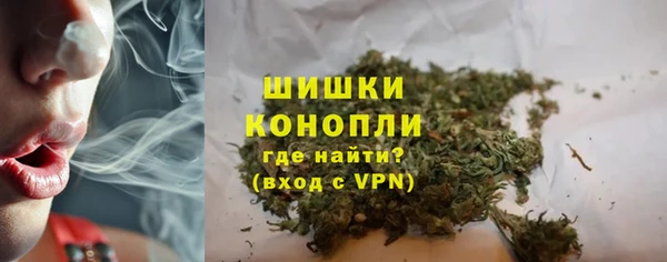 ECSTASY Богородицк