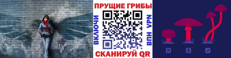 Галлюциногенные грибы Psilocybe Бугуруслан